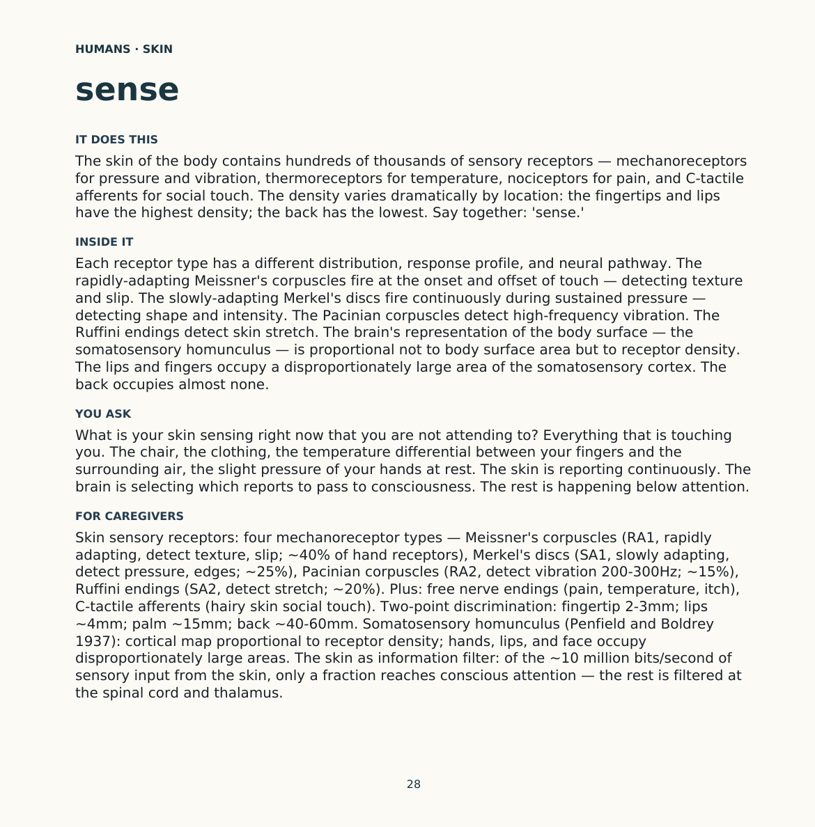 Humans: Skin, Look inside, page 28
