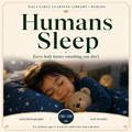 Humans: Sleep
