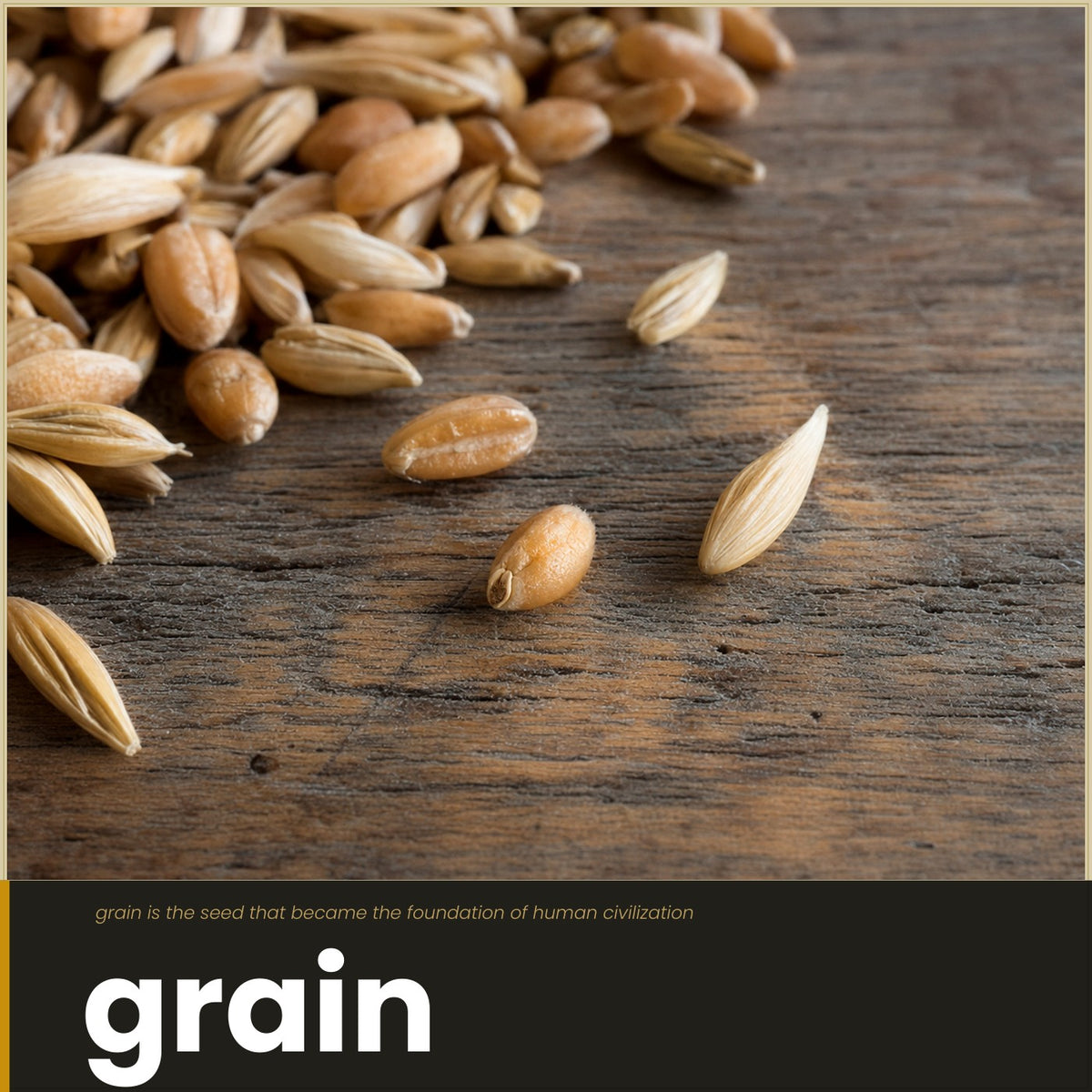 Look inside Origins: Bread: interior page 7