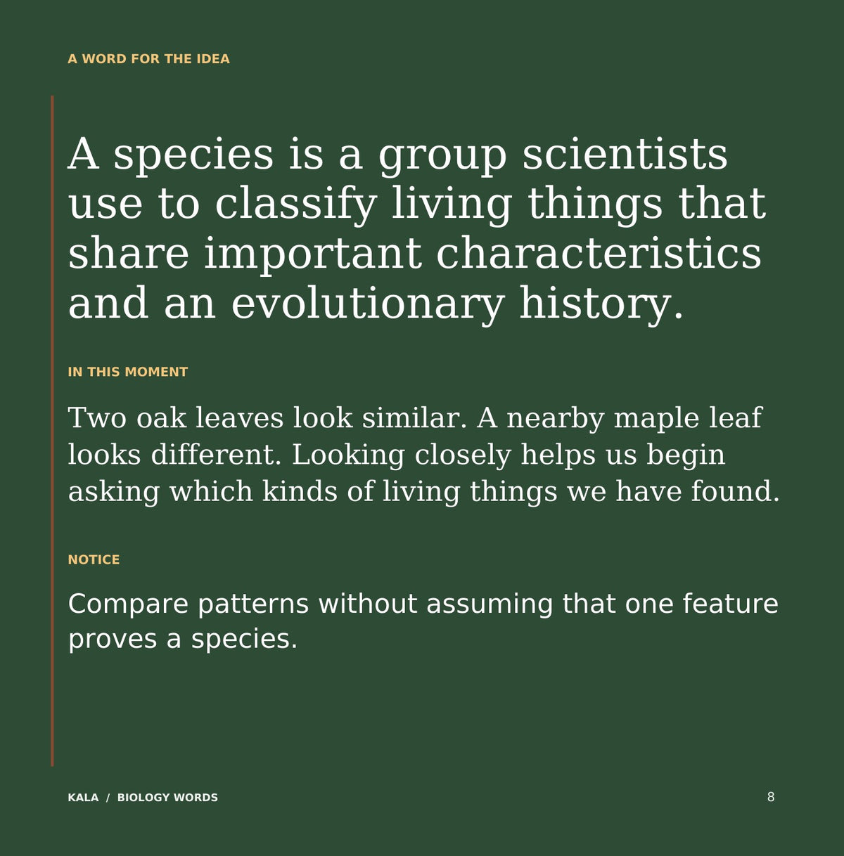 Look inside Biology Words: interior page 8