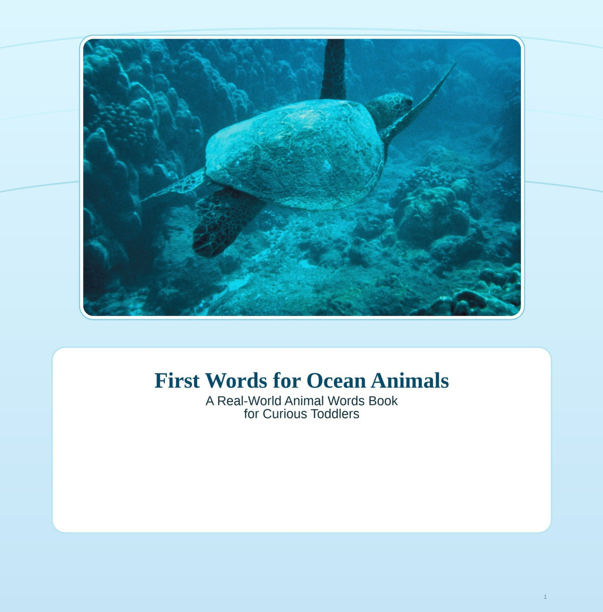 First Words: Ocean Animals front cover