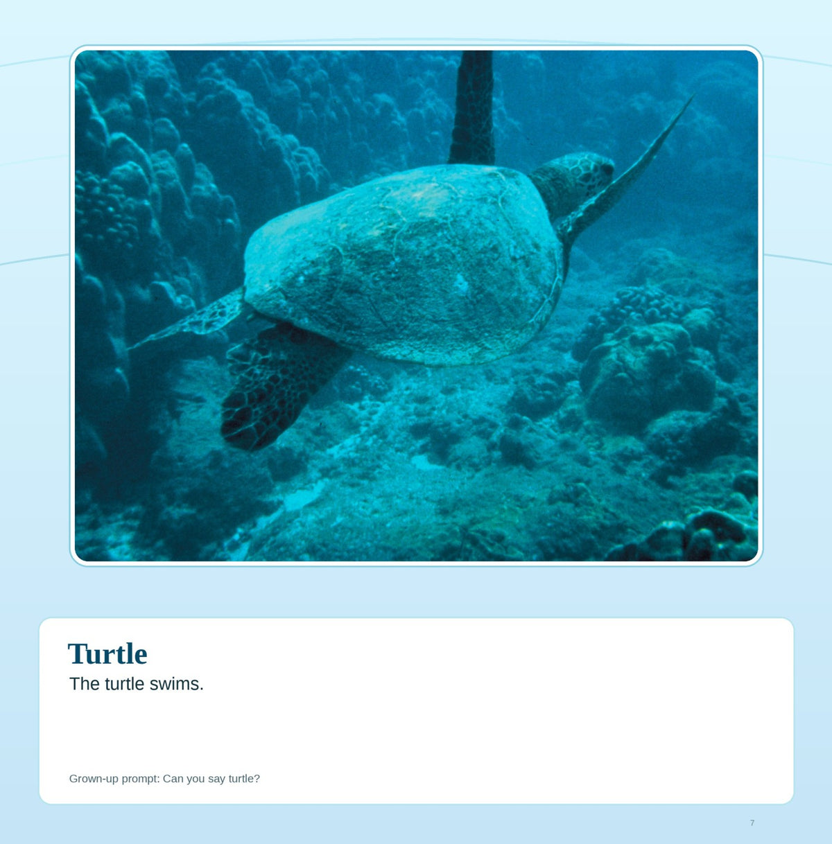 Look inside First Words: Ocean Animals: interior page 7