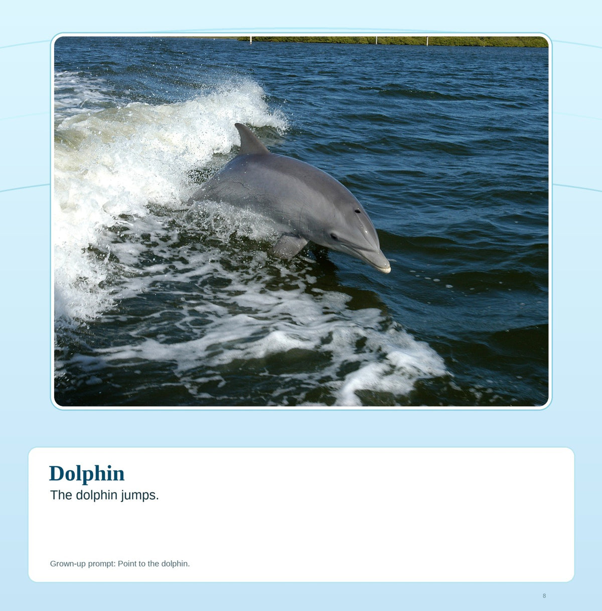 Look inside First Words: Ocean Animals: interior page 8