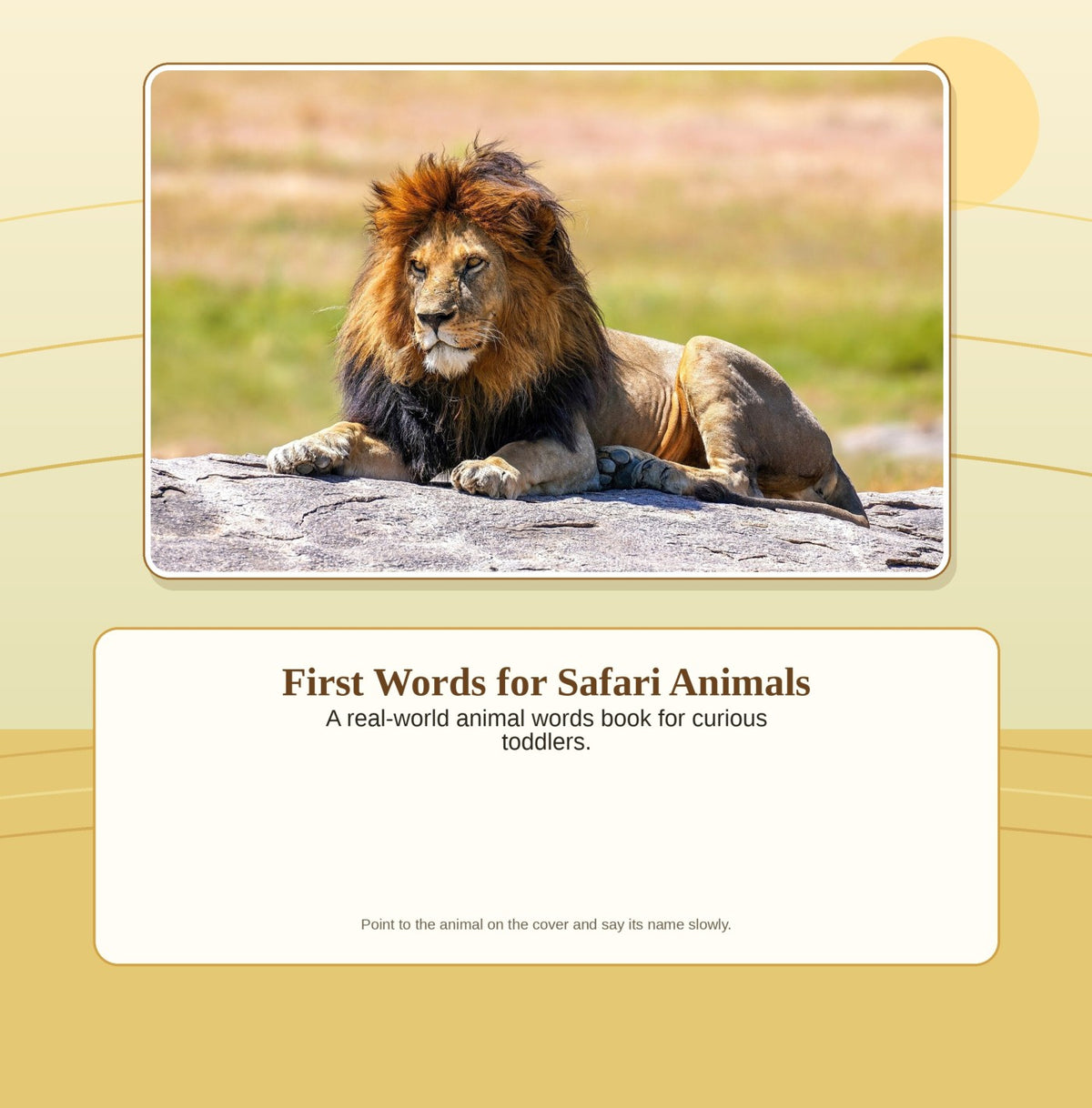 First Words: Safari Animals front cover