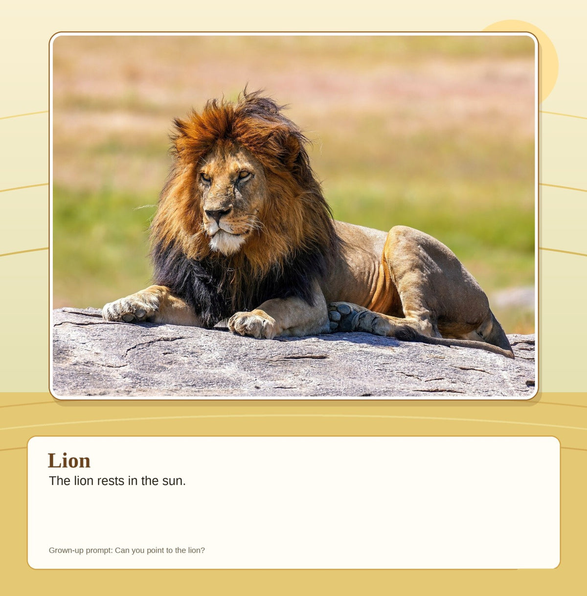 Look inside First Words: Safari Animals: interior page 7