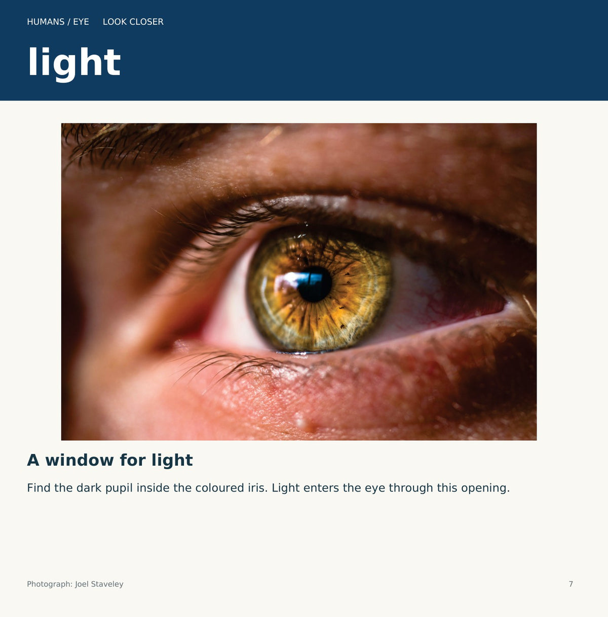 Look inside Humans: Eye: interior page 7