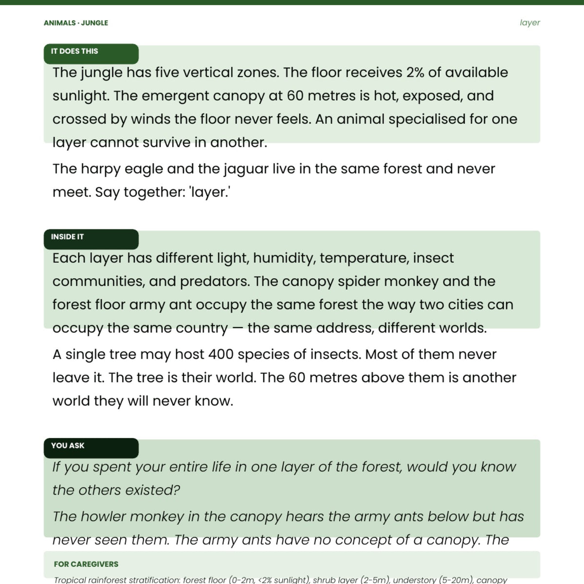 Look inside Animals: Jungle: interior page 8