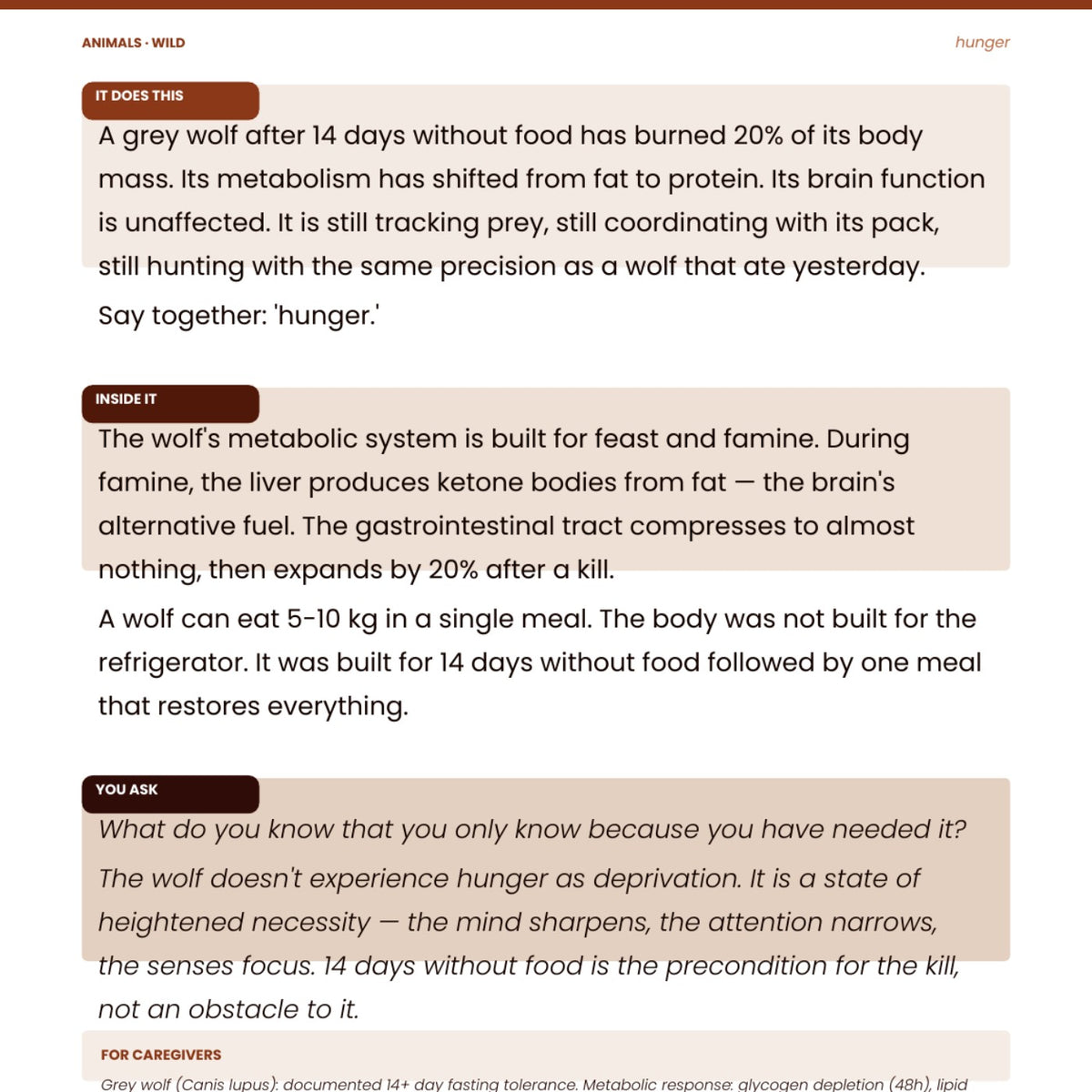 Look inside Animals: Wild: interior page 8