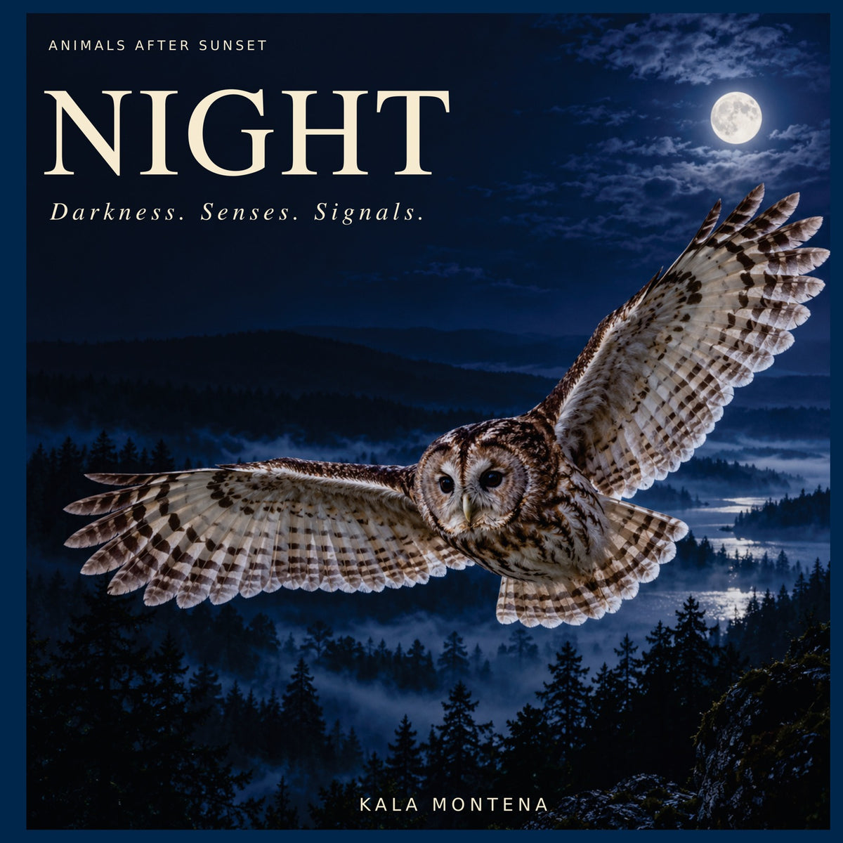 Animals: Night front cover
