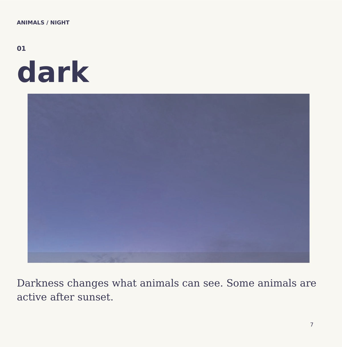 Look inside Animals: Night: interior page 7