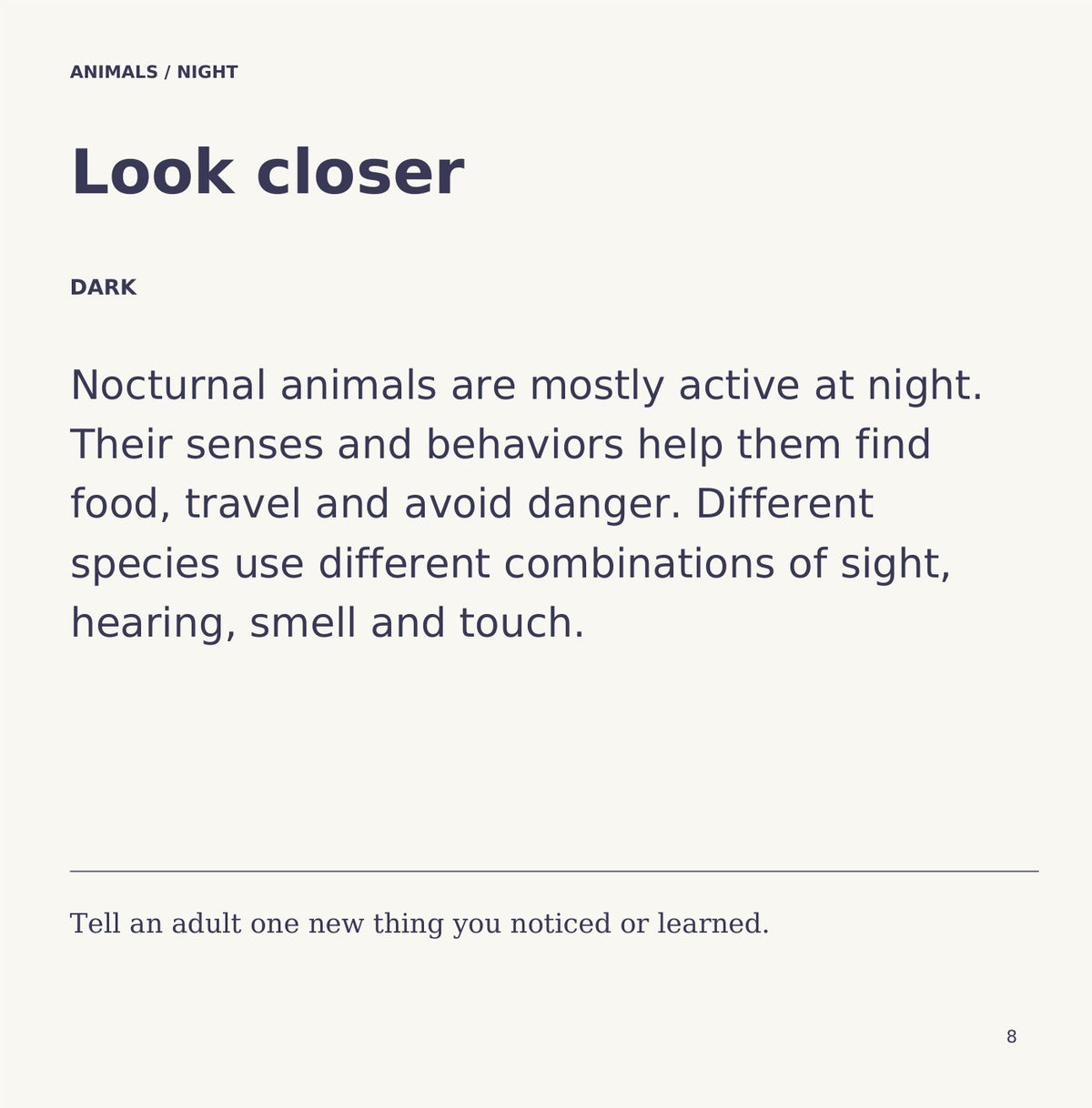 Look inside Animals: Night: interior page 8