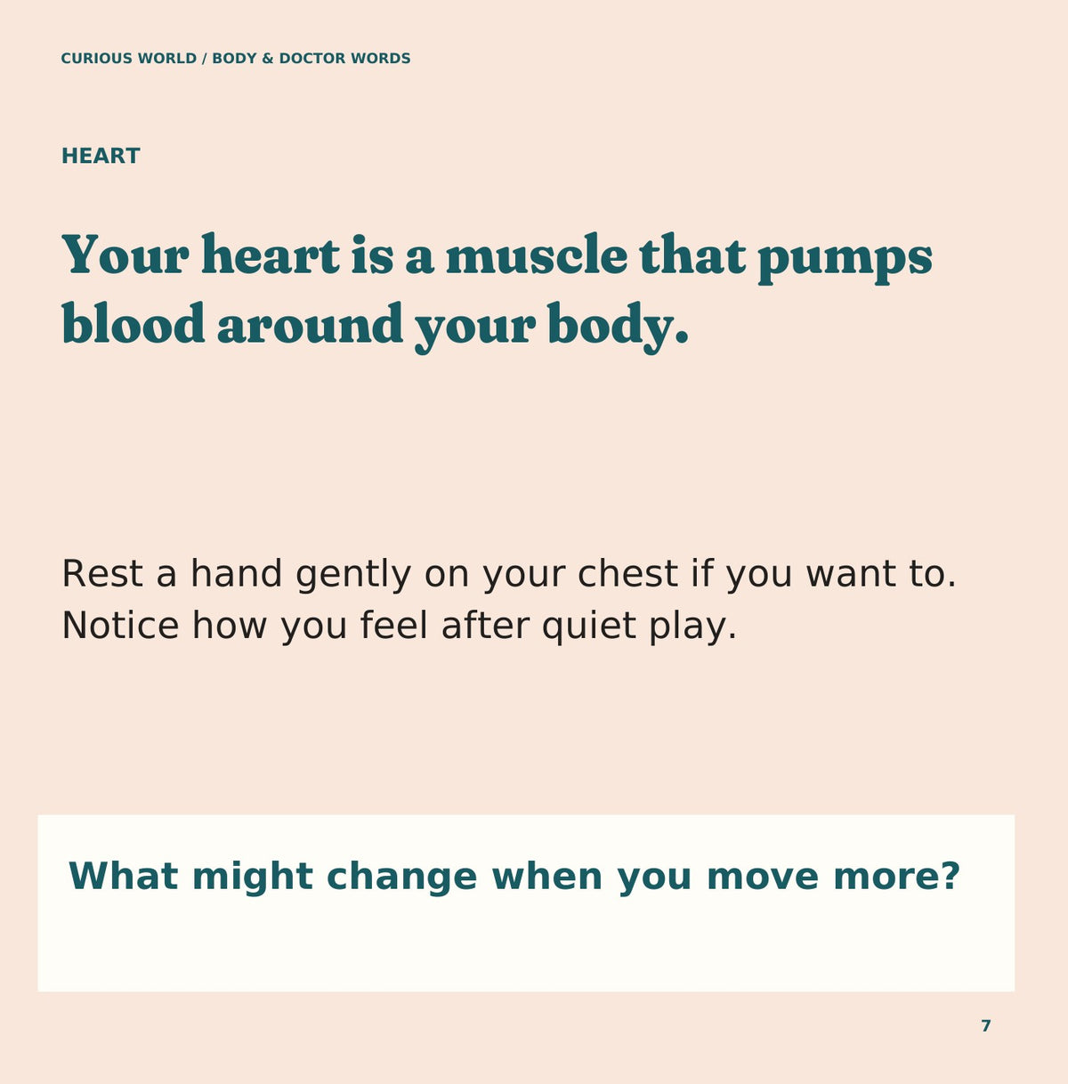 Look inside Body & Doctor Words: interior page 7