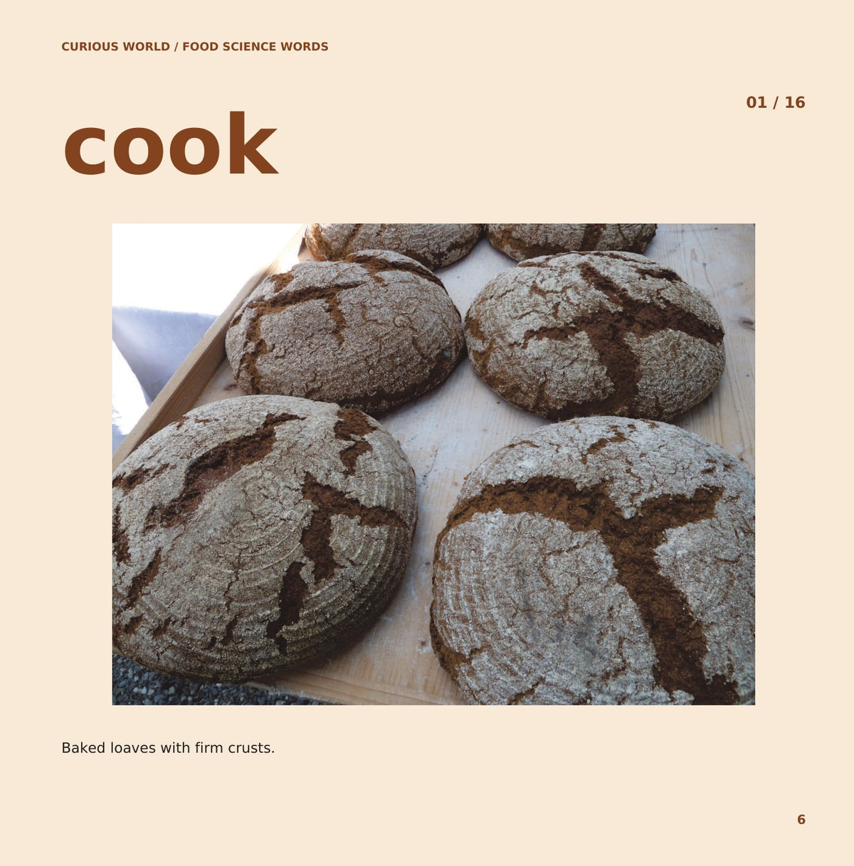 Look inside Food Science Words: interior page 6