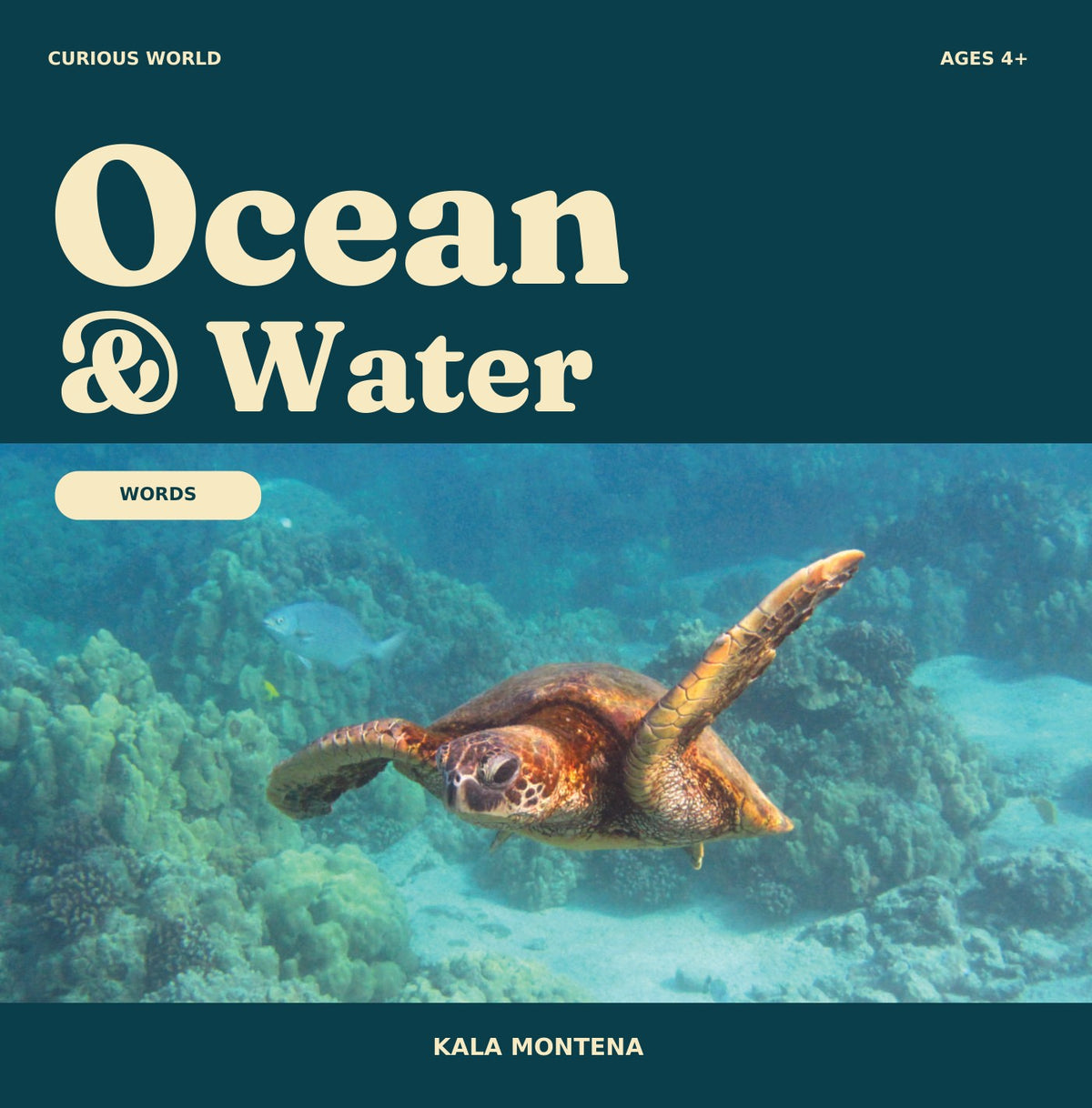 Ocean & Water Words front cover