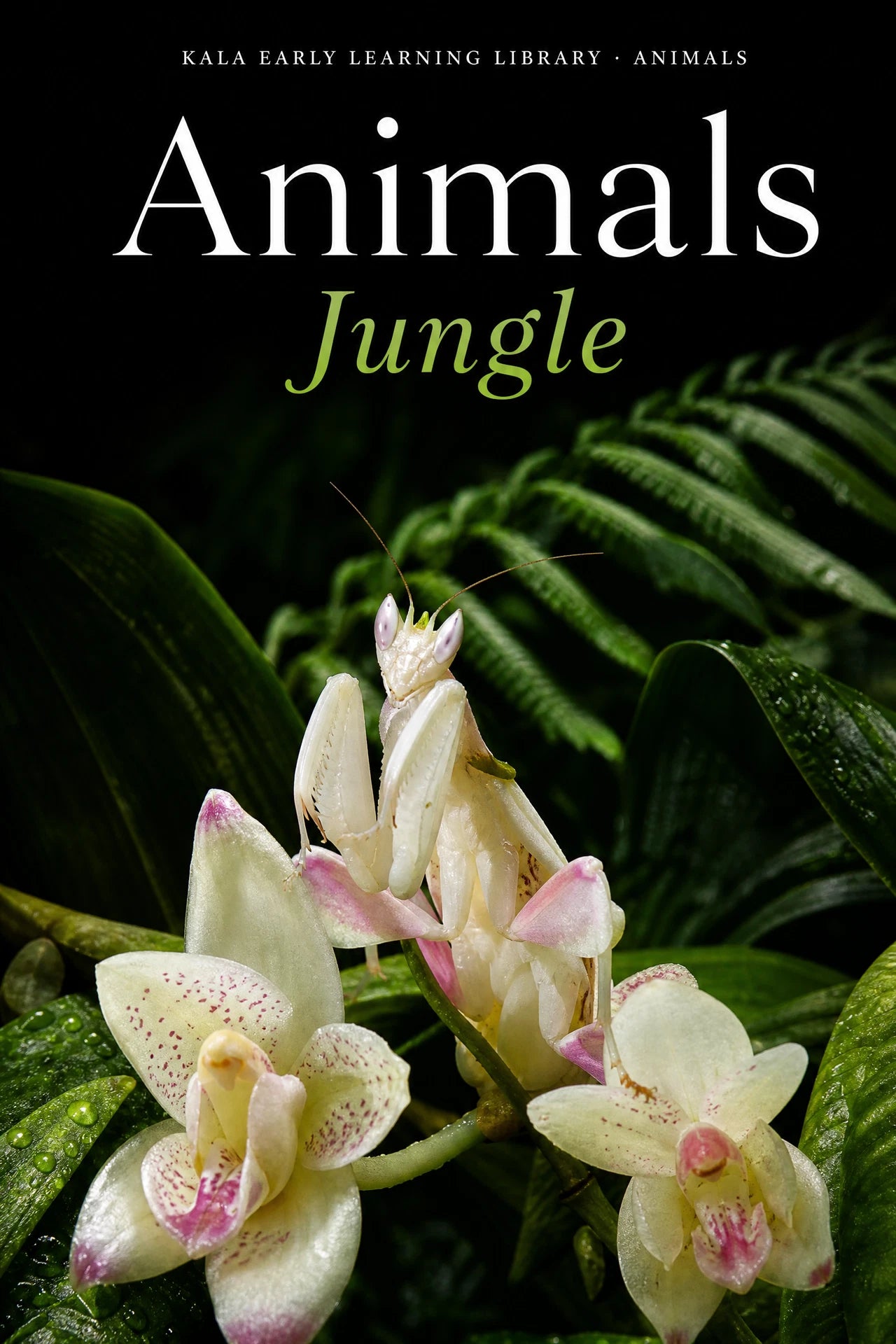Animals Jungle digital picture book cover showing a realistic flower mantis on orchids