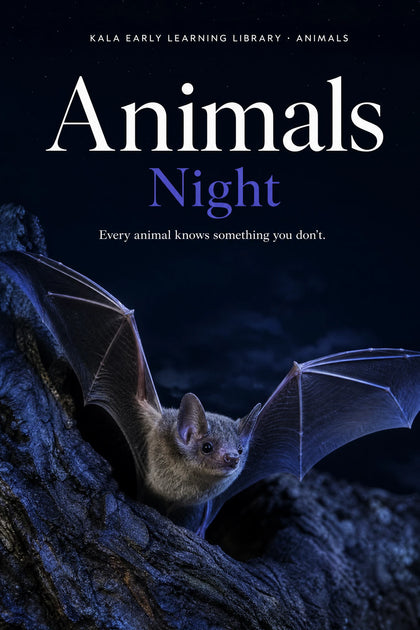 Animals Night digital picture book cover showing a realistic bat at night