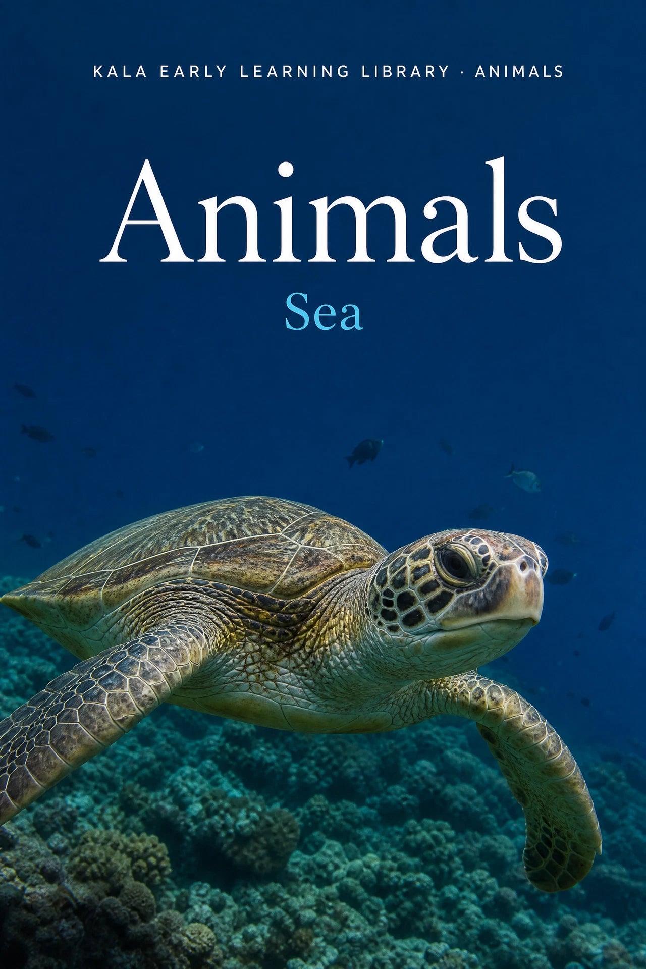 Animals Sea digital picture book cover showing a realistic sea turtle swimming above coral