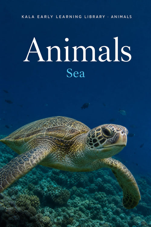 Animals Sea digital picture book cover showing a realistic sea turtle swimming above coral