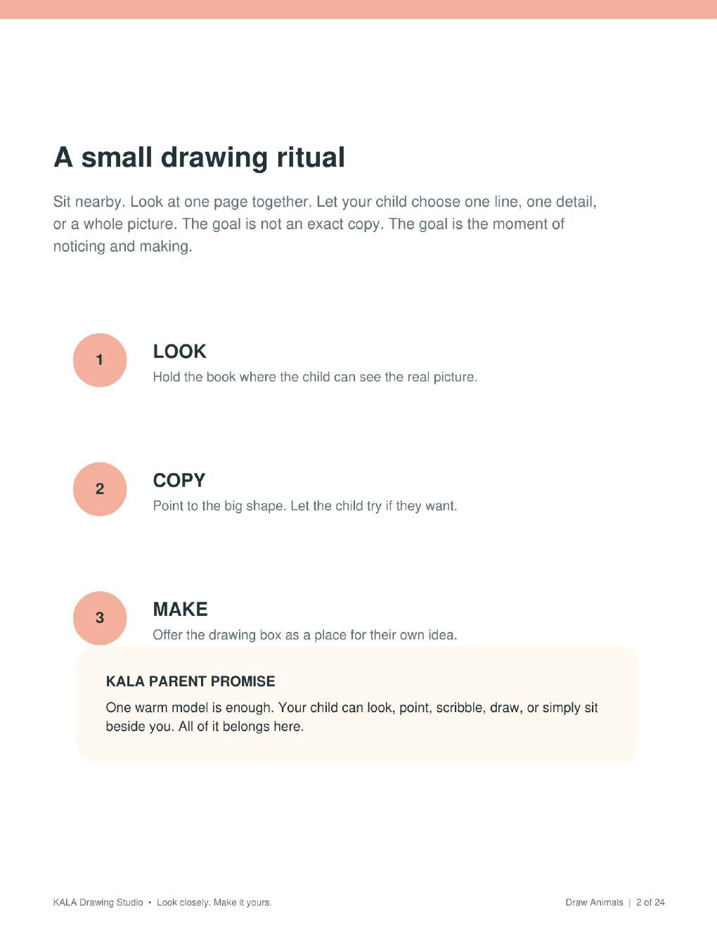 Look Inside Draw Animals, Look Copy Make drawing method