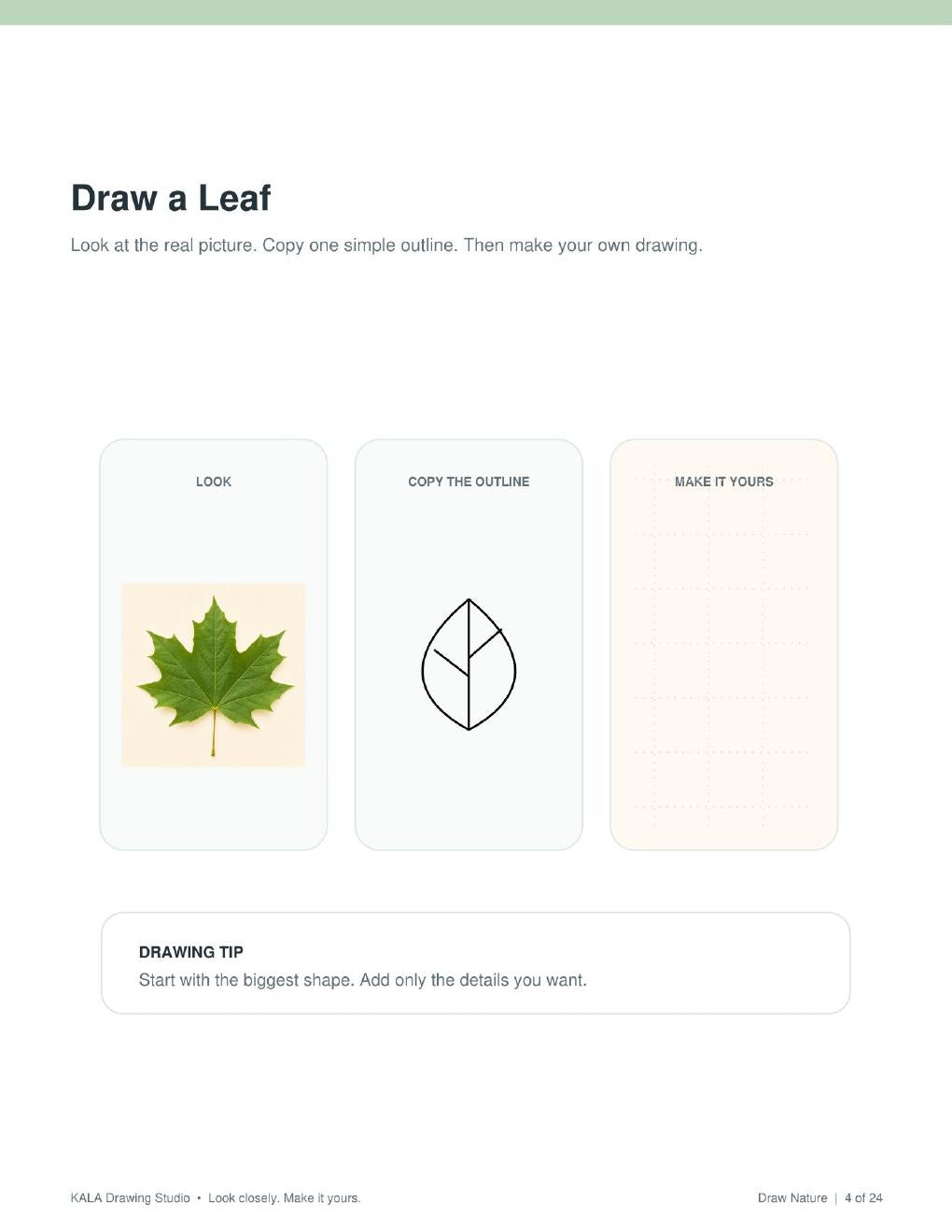 Look Inside Draw Nature, leaf drawing activity