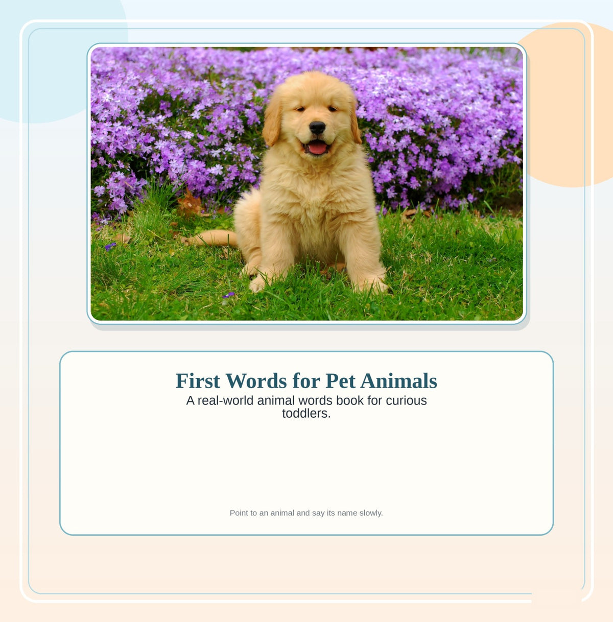 First Words: Pet Animals front cover