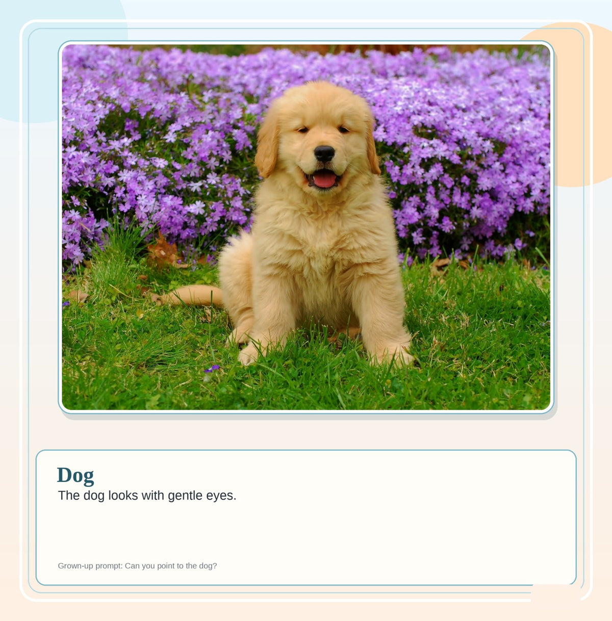 First Words: Pet Animals: look inside page 7
