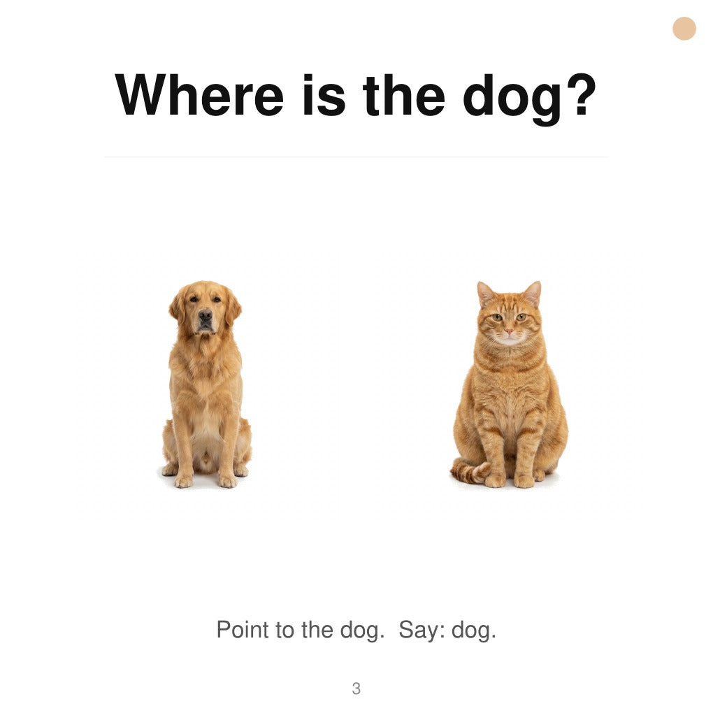 Look inside First Words The Teaching Edition, find the dog pageFirst Words: The Teaching Edition | Babies & Toddlers Ages 0 to 3