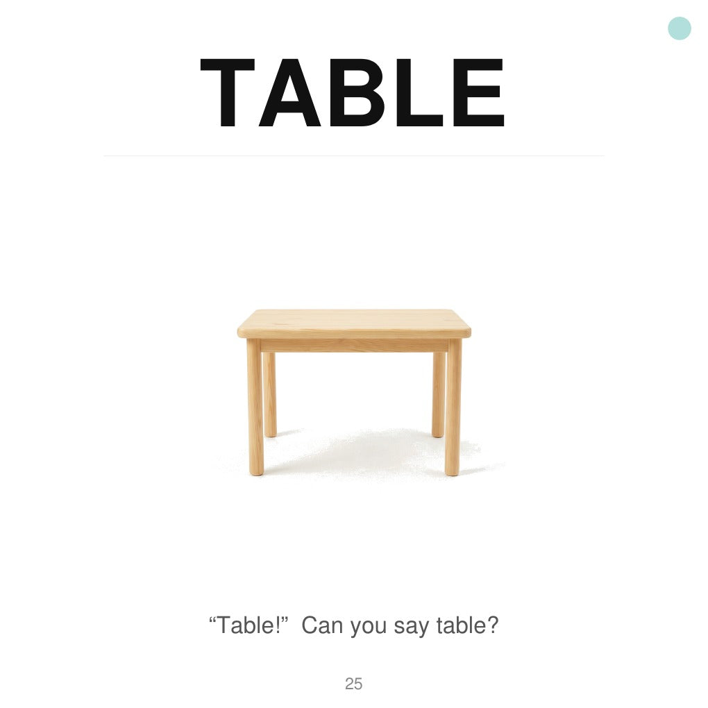 Look inside First Words The Teaching Edition, real-photo table vocabulary page