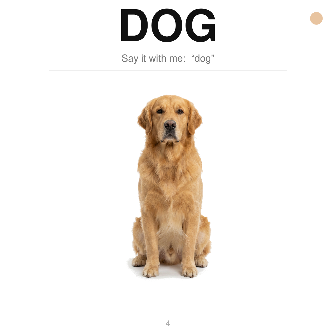 My First Words Series 2 - real interior page: Dog