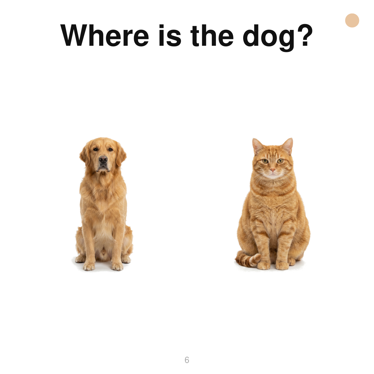 My First Words Series 2 - real interior page: Where is the dog?