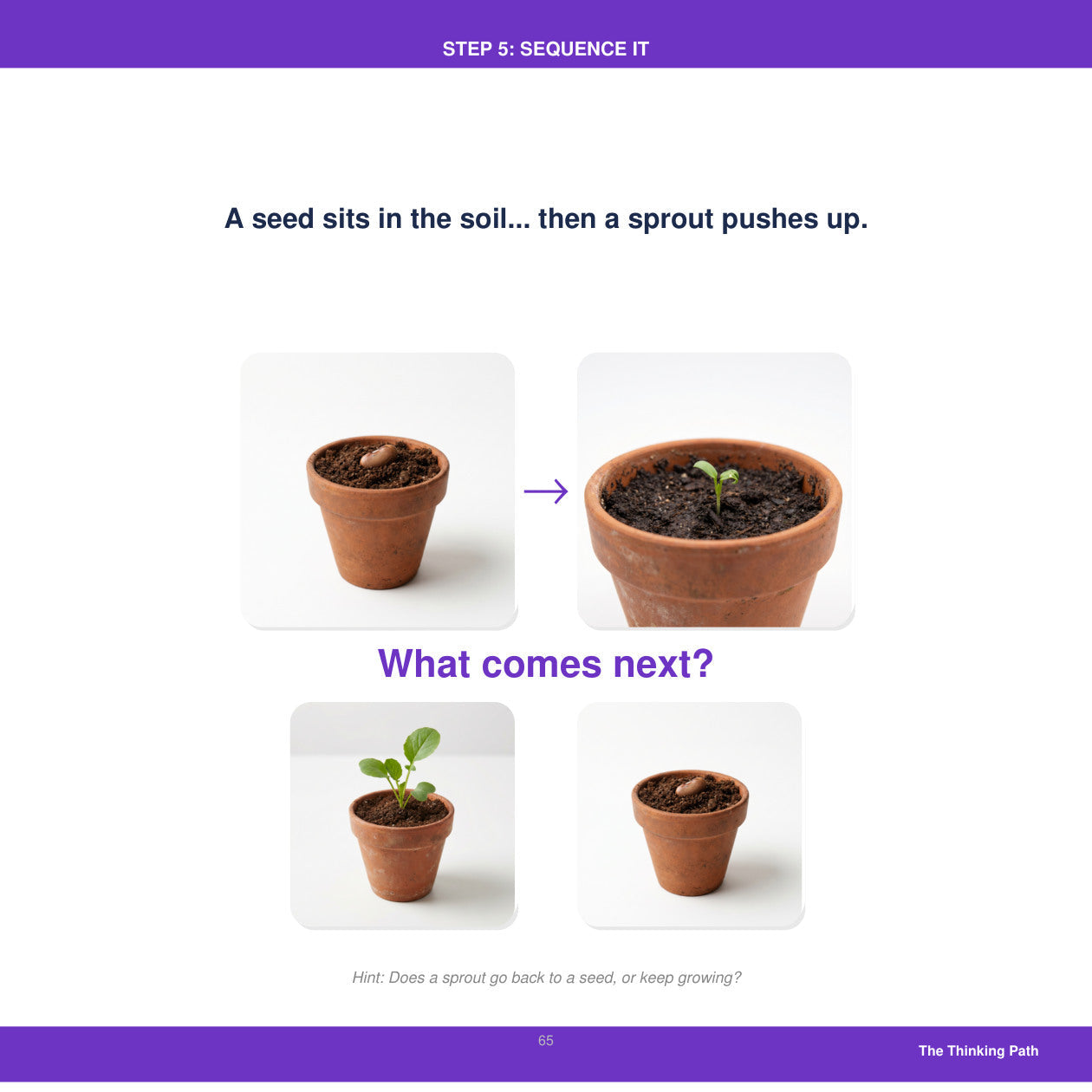 Look inside The Thinking Path: sequence what comes after planting a seed
