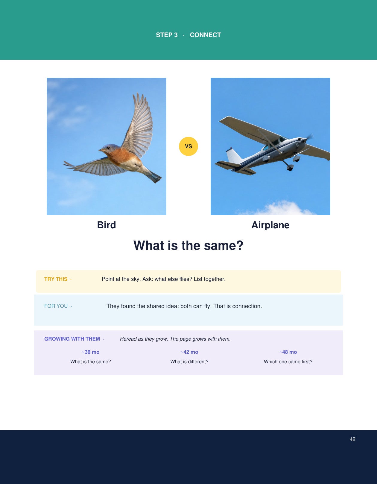 Look inside The Wonder Path: Connect activity comparing a bird and an airplane